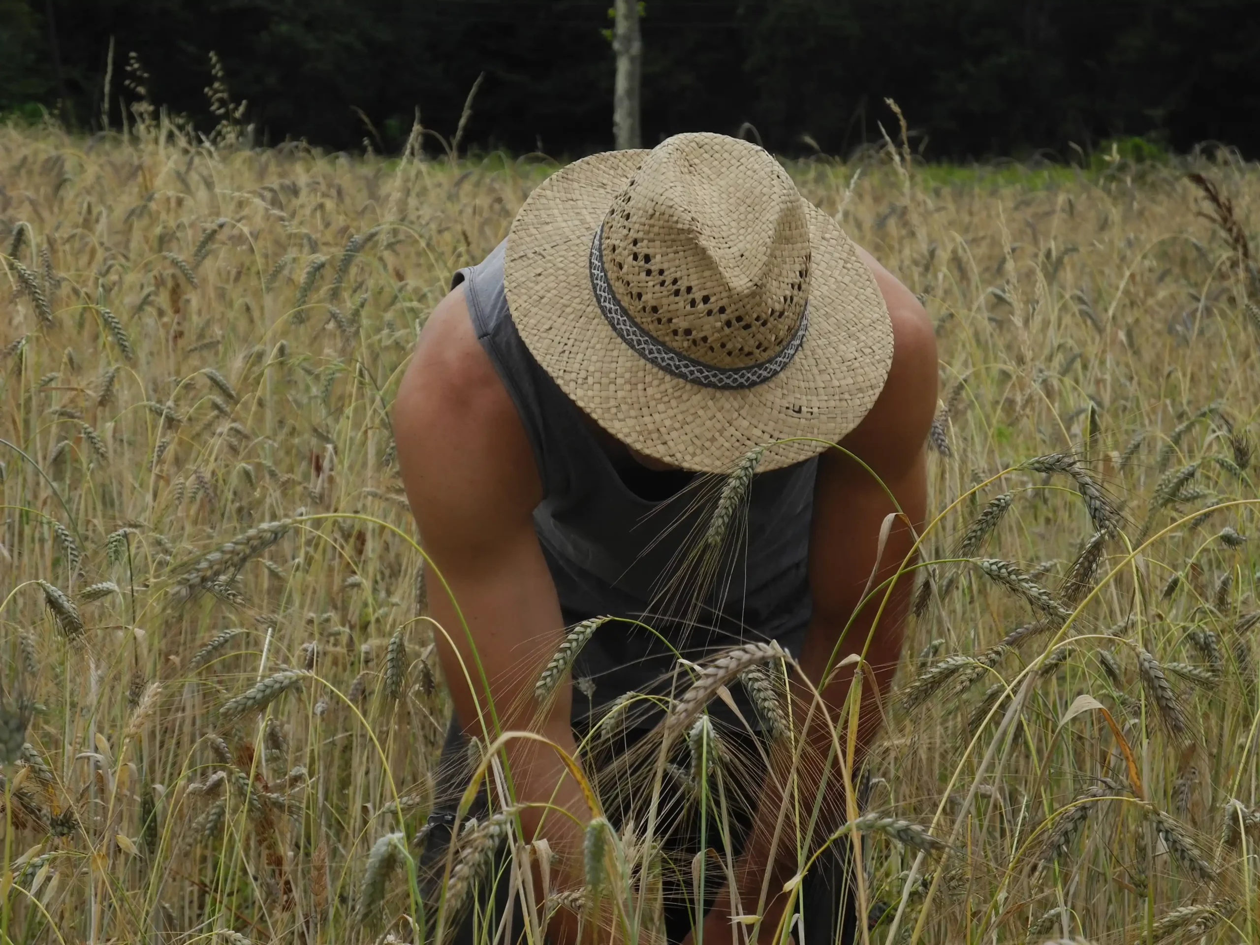 Membre de l'équipe Odyssée d'Engrain