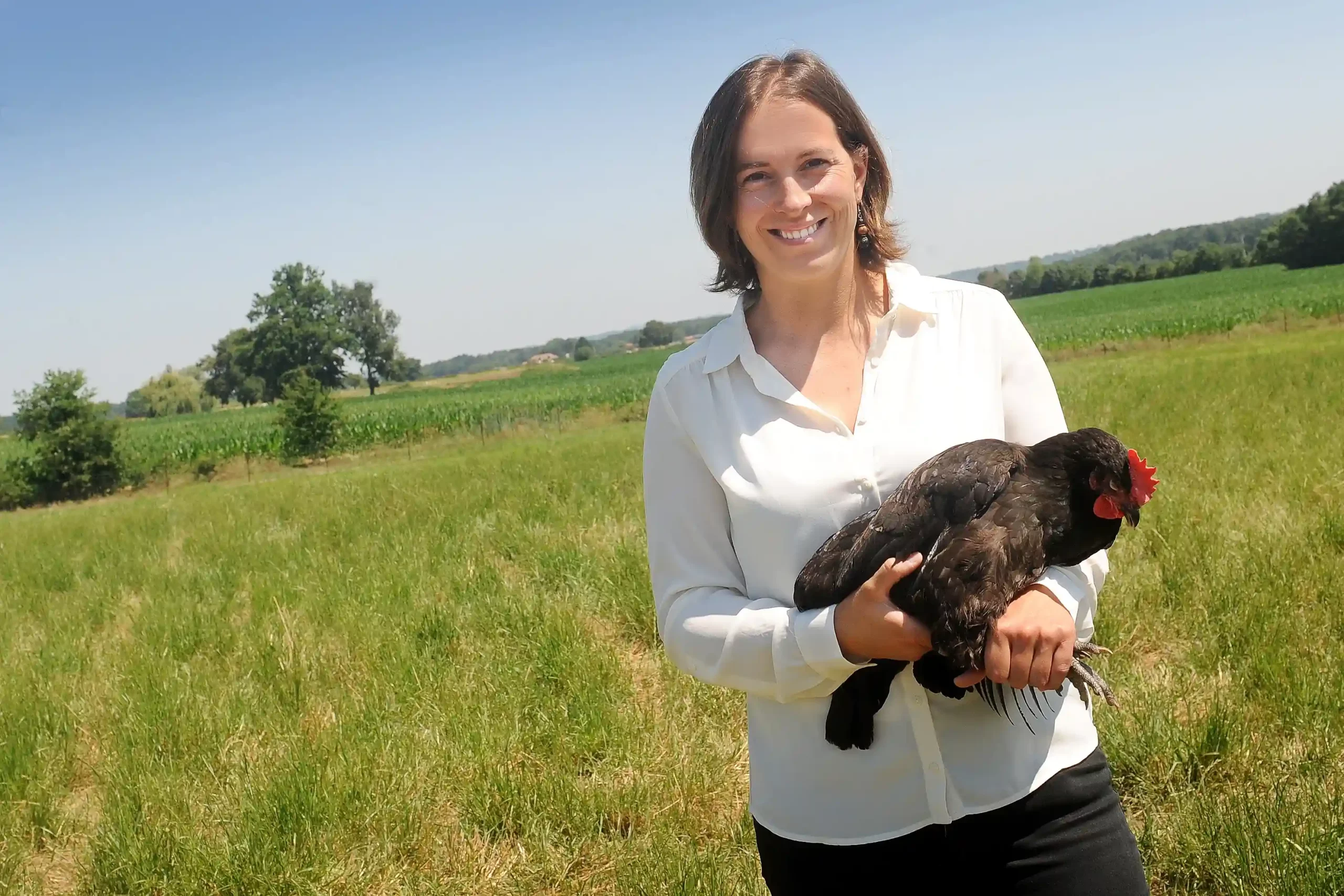 Noire d'Astarac Bigorre