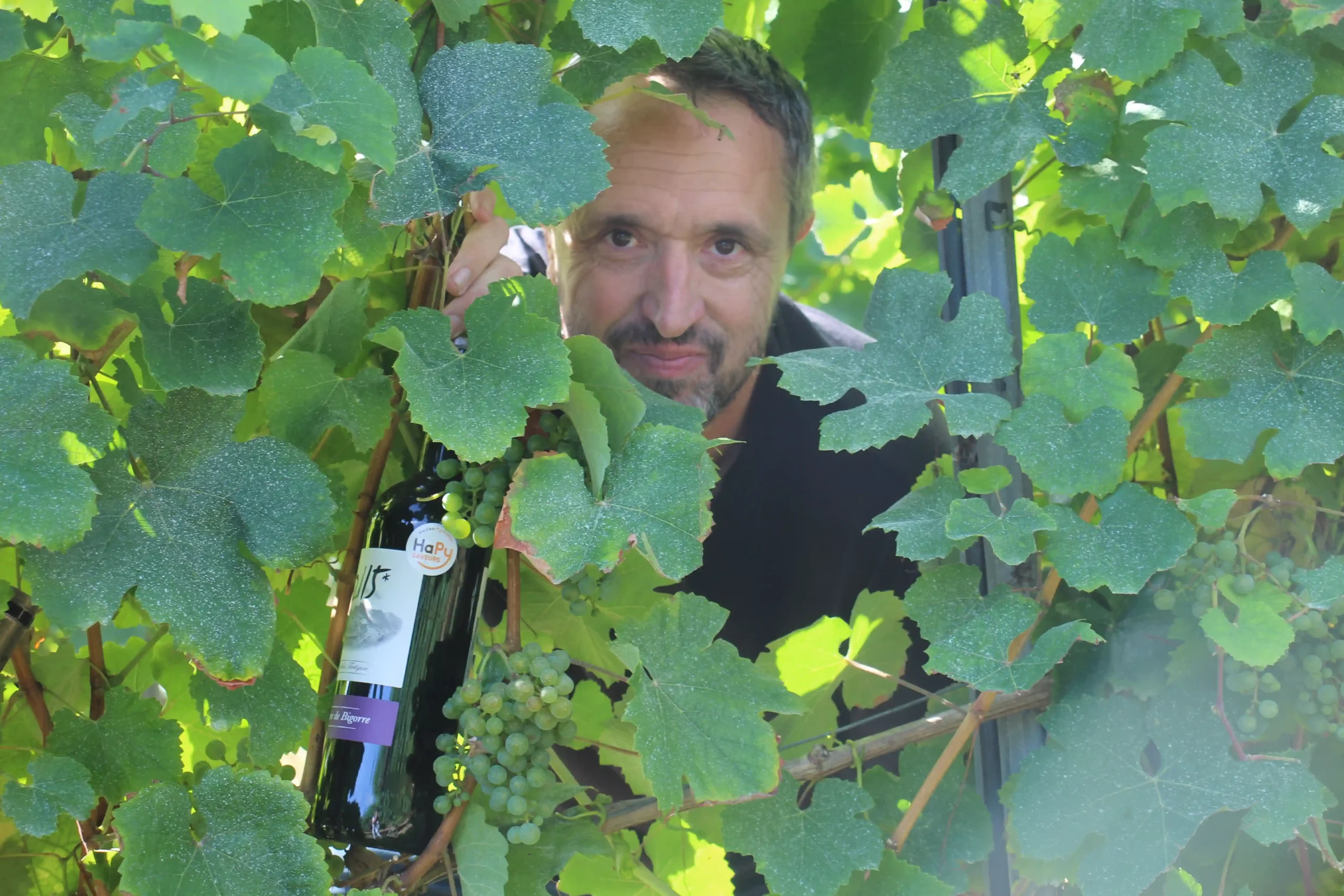 Les Pyrénéales à Madiran