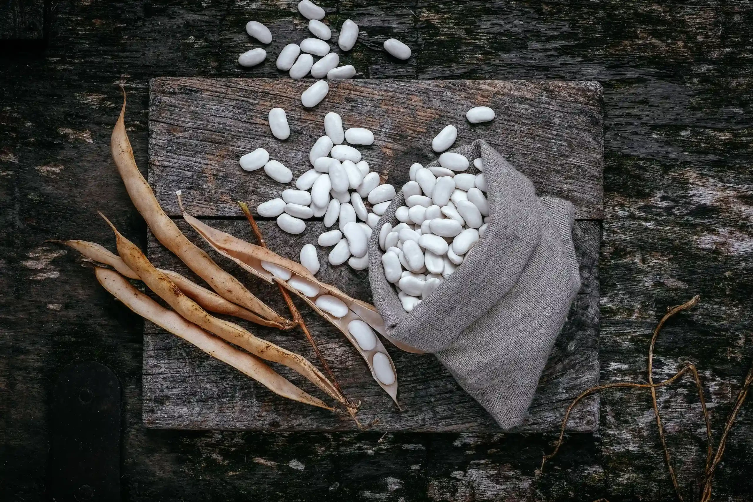 Grains gousses haricots tarbais