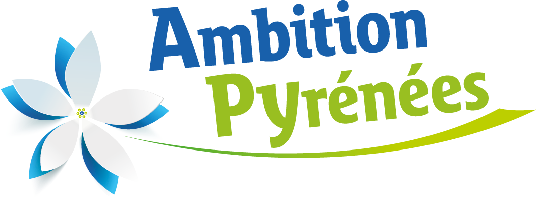 logo ambition pyrénées