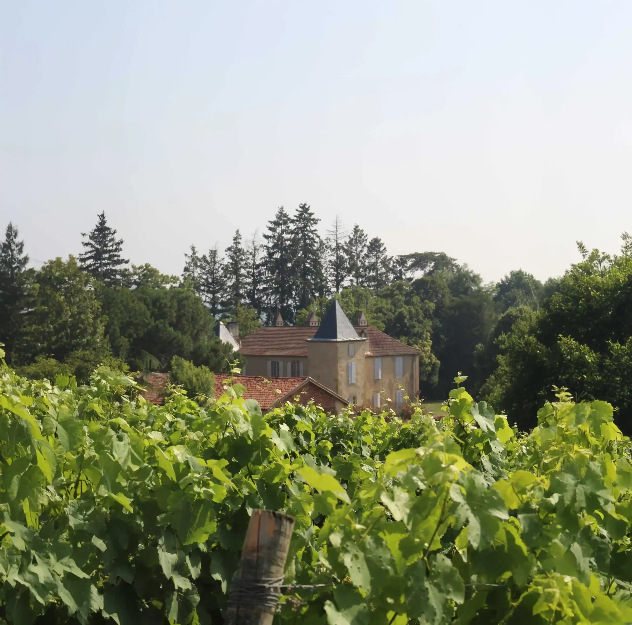 Paysage du Domaine de Perron