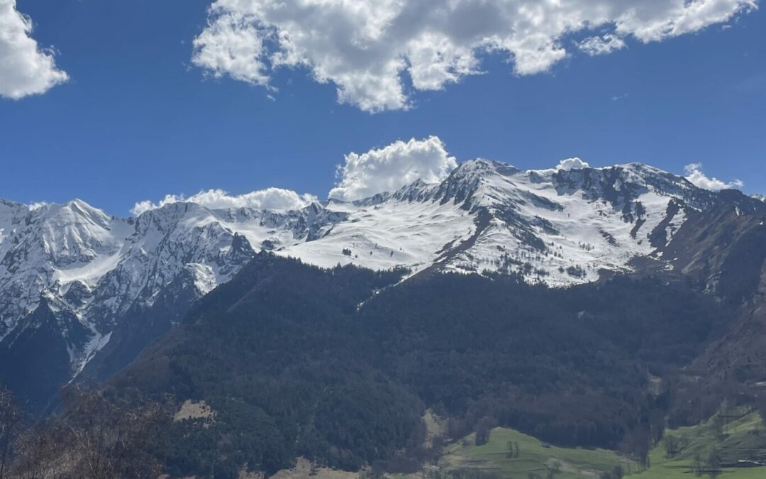 Où trouver des produits locaux en Vallées d’Aure et du Louron ?